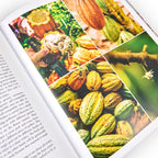 Making Chocolate: From Bean to Bar to S'more: A Cookbook by Dandelion Chocolate