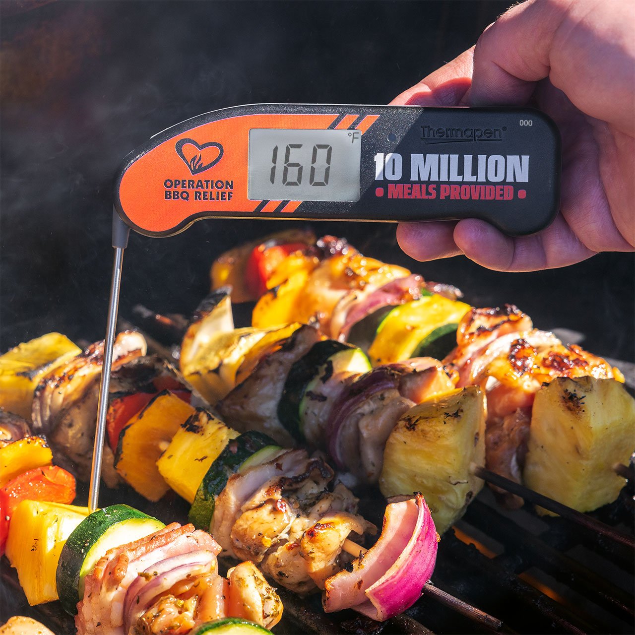 Limited Edition Thermapen® ONE