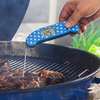 Thermapen® ONE